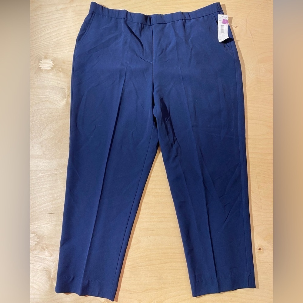 Southern Lady Dress Pants size 20 (IF)